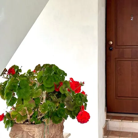 Lejlighed S327 - Sirolo, Comodo Bilocale Ben Accessoriato *